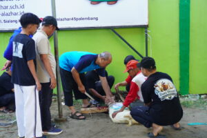 Penyembelihan hewan qurban